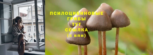 бутират Нефтекумск